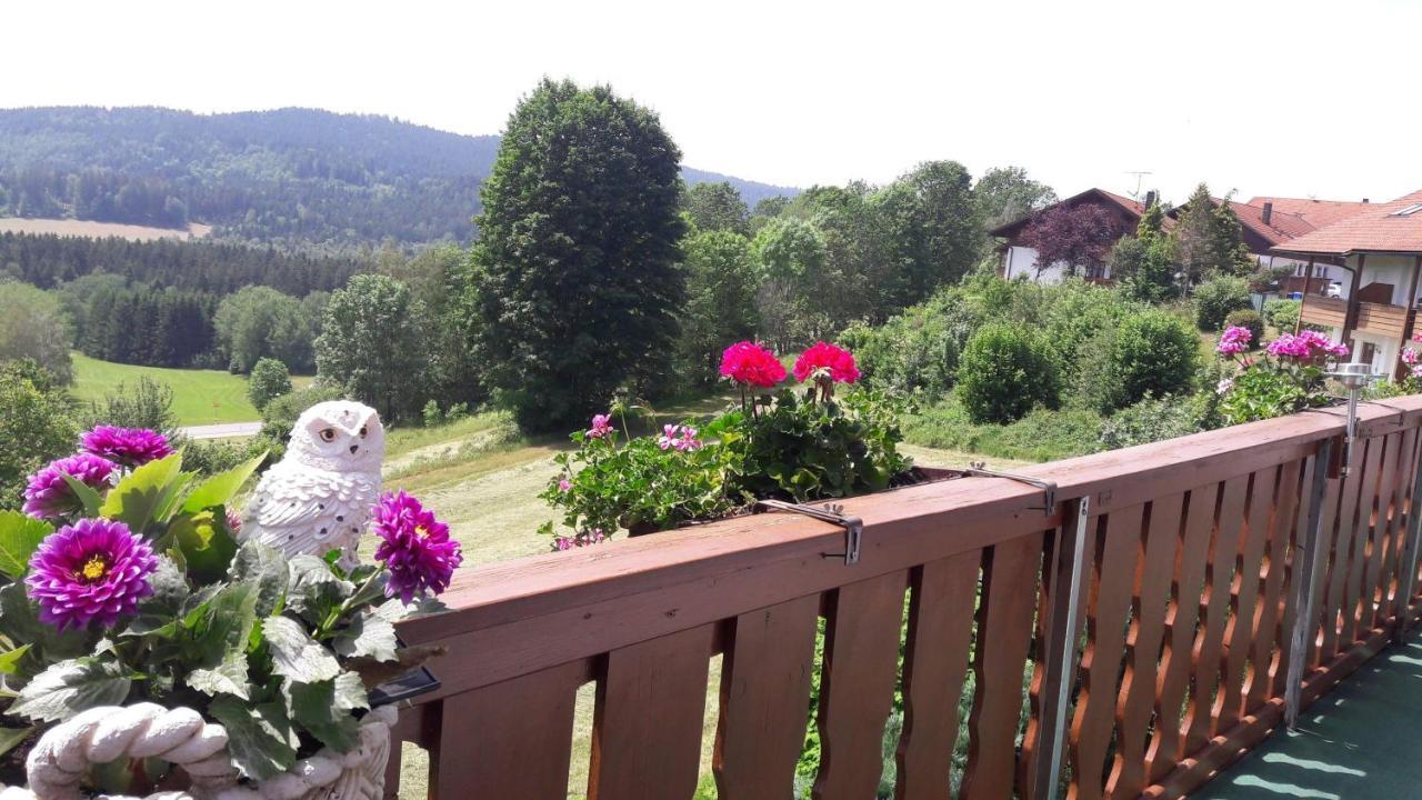 Ferienwohnung-Panoramablick-4 Боденмайс Экстерьер фото